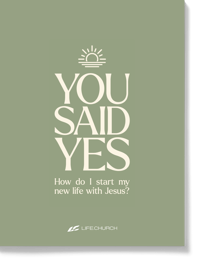 You Said Yes 1